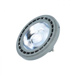 SPOT Forever Light AR111 COB 12V 10W 3000K silver